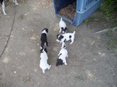 Enlarge photo 2