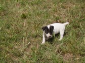 Enlarge photo 12