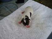 Enlarge photo 7