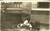 Enlarge photo 3