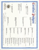 Enlarge PDF 30