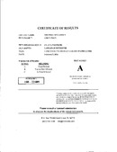 Enlarge PDF 21