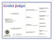 Enlarge PDF 25