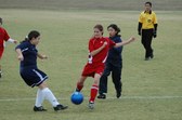 Enlarge photo 61