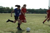 Enlarge photo 59