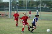 Enlarge photo 57