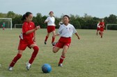 Enlarge photo 54