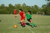 Enlarge photo 23