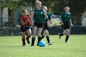 Cobras Soccer Spring 2005