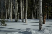 Colorado 2005