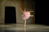 Enlarge photo 155
