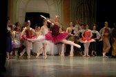 Enlarge photo 158