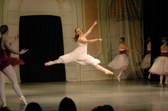 Enlarge photo 176