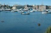 Enlarge photo 3