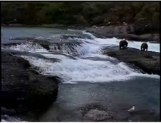 Enlarge photo 31
