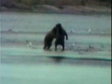 Enlarge photo 18