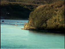 Enlarge photo 44