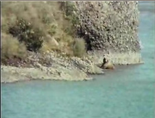 Enlarge photo 29