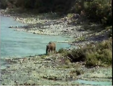 Enlarge photo 30