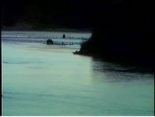 Enlarge photo 38