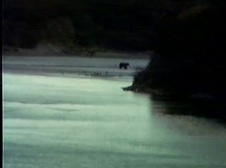 Enlarge photo 39