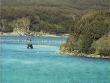 Enlarge photo 73