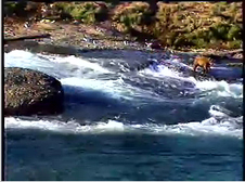 Enlarge photo 37
