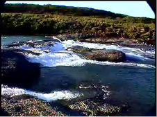 Enlarge photo 39