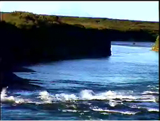 Enlarge photo 44
