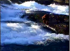 Enlarge photo 46