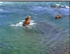 Enlarge photo 29