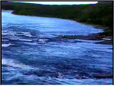 Enlarge photo 43