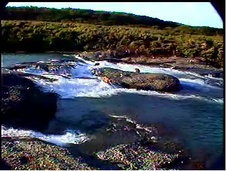 Enlarge photo 45