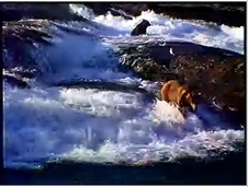 Enlarge photo 46