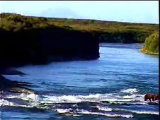 Enlarge photo 47