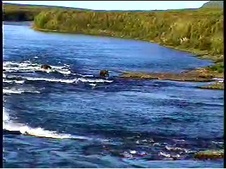 Enlarge photo 48