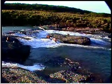 Enlarge photo 49