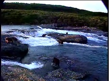 Enlarge photo 53