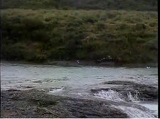 Enlarge photo 38