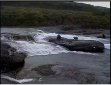 Enlarge photo 61