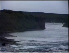 Enlarge photo 66