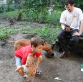 Enlarge photo 4