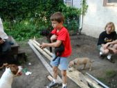 Enlarge photo 5