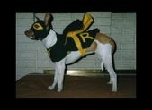 Costumes