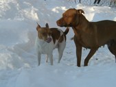 Enlarge photo 24