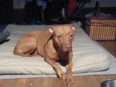 Enlarge photo 15