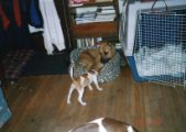 Enlarge photo 7