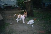 Enlarge photo 9
