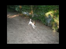 Astro on his own