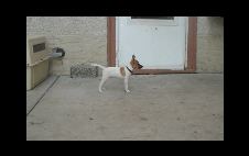 Enlarge photo 10